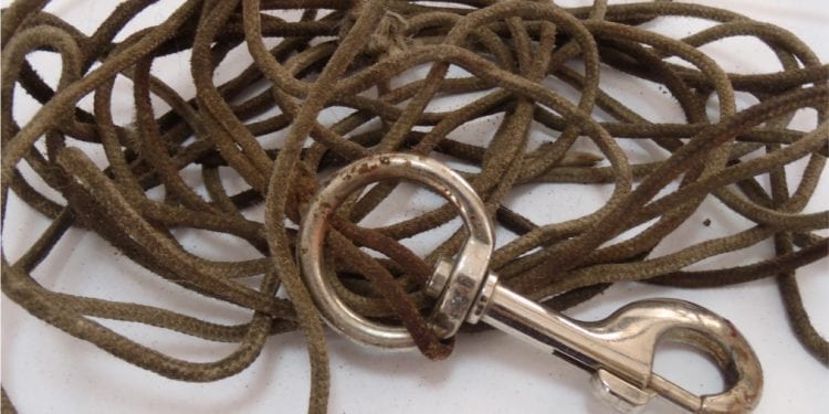 Białystok: Ciągnął psa za samochodem. Policja szuka sprawcy