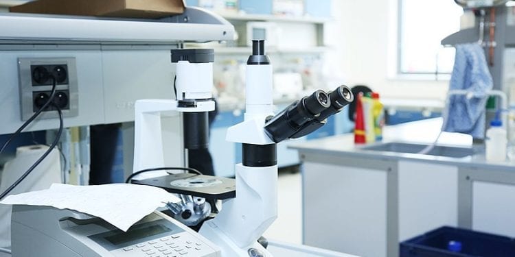 Śmiercionośna bakteria New Delhi rozprzestrzenia się w Polsce. Zakażeń przybywa lawinowo