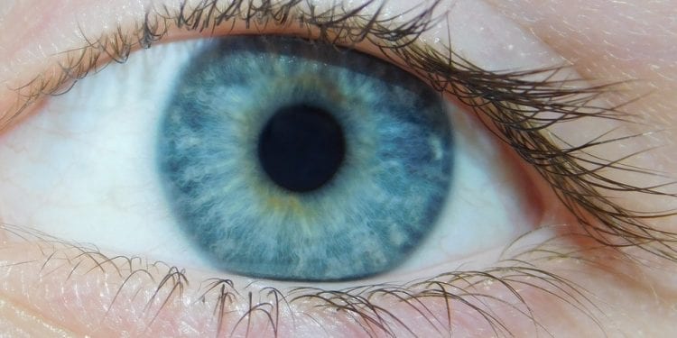 GIF wycofuje z obrotu popularne krople do oczu. „Nieznane zanieczyszczenie”