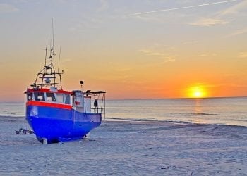 Ekolodzy apelują o zakończenie nadmiernych połowów na Bałtyku. „Ryby są coraz mniejsze”