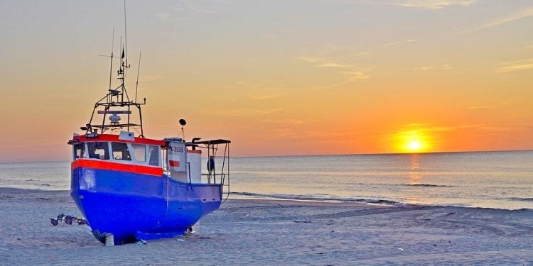 Ekolodzy apelują o zakończenie nadmiernych połowów na Bałtyku. „Ryby są coraz mniejsze”