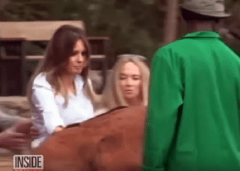 Słoń wpadł na Melanię Trump. Niebezpieczna sytuacja podczas wizyty pierwszej damy w Afryce [WIDEO]