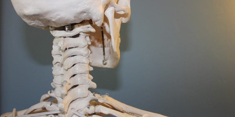 Odkryto najstarsze szczątki człowieka w Polsce. Mają ponad 100 tys. lat!