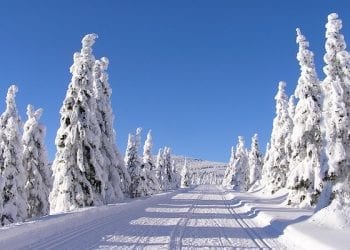 Zima w tym roku da się we znaki? Synoptycy ze znanego serwisu podali długoterminową prognozę
