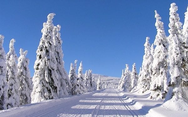 Zima w tym roku da się we znaki? Synoptycy ze znanego serwisu podali długoterminową prognozę