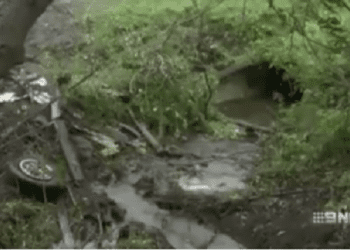 Tragedia w drodze na wesele. Rozpędzona limuzyna spowodowała wypadek. Nie żyje 20 osób