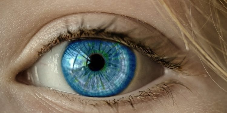 Ponad 250 mln ludzi na świecie nie widzi lub widzi źle. Jak wyglądają statystki w Polsce?