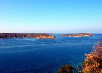 Chorwacja: Polscy archeolodzy trafili na ślady osady sprzed ponad 2 tys. lat. To prawdziwy unikat