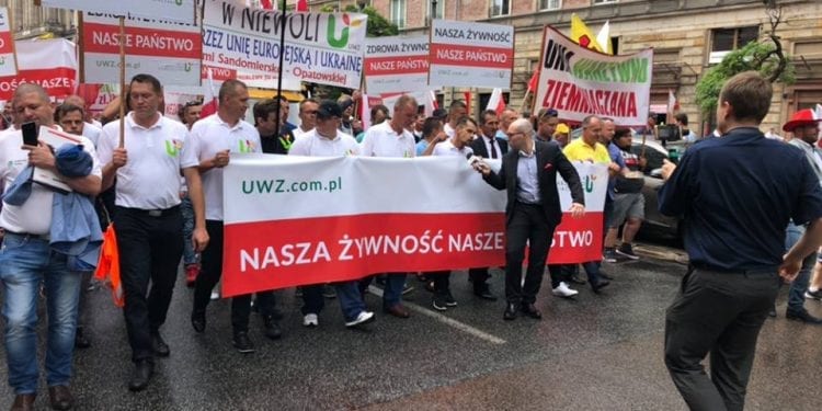 Michał Kołodziejczak to „nowy Lepper”? Zakłada ruch