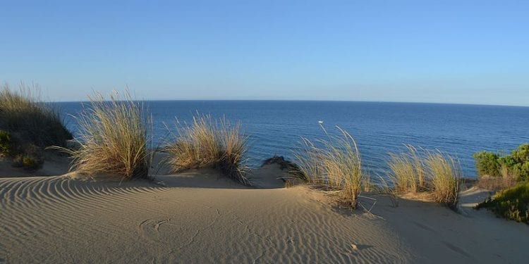 Atlantyda odnaleziona? Wszystko się zgadza