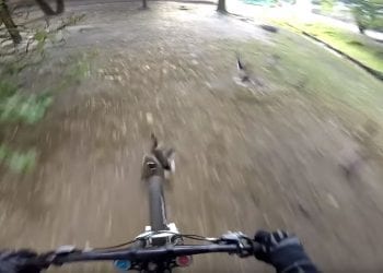 YouTuber rozjechał kaczkę rowerem. Pochwalił się tym w sieci [WIDEO]