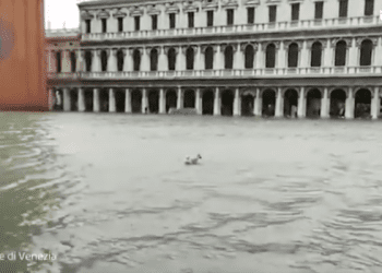 Dramatyczne skutki wichur we Włoszech. „Sytuacja jest apokaliptyczna”