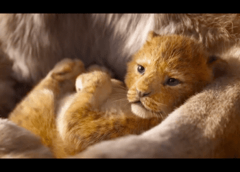 Pojawił się pierwszy zwiastun nowego „Króla Lwa” [WIDEO]