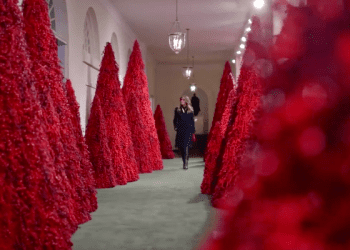Melania Trump udekorowała Biały Dom na Święta. Uwagę przykuły „krwawe choinki” [WIDEO]