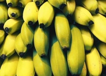 Kokaina w bananach w Stokrotce. Zgłoszenia napływają z całej Polski!