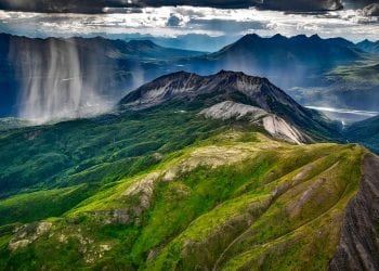 Stuletnie brzozy o wysokości 20 cm? „Aby zobaczyć las w tundrze, należy się na nim położyć”