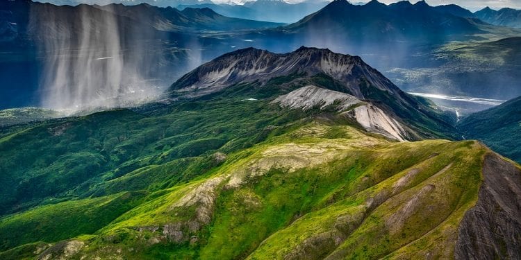 Stuletnie brzozy o wysokości 20 cm? „Aby zobaczyć las w tundrze, należy się na nim położyć”