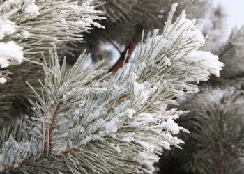 Arktyczne powietrze nad Polską. IMGW wydaje ostrzeżenia!