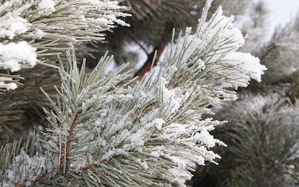Arktyczne powietrze nad Polską. IMGW wydaje ostrzeżenia!