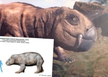 Największy gad ssakokształtny żył na terenie Polski. Co o nim wiemy?