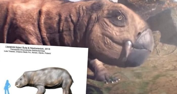 Największy gad ssakokształtny żył na terenie Polski. Co o nim wiemy?