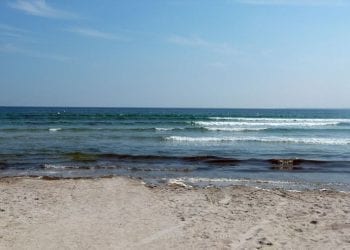 To koniec ponad 40-letniego sporu! Polska i Dania uzgodniły przebieg granicy