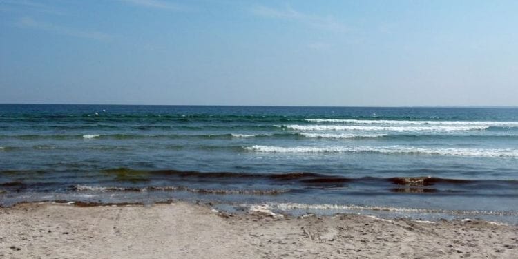 To koniec ponad 40-letniego sporu! Polska i Dania uzgodniły przebieg granicy