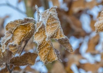 To koniec ciepłych dni? Przed nami pierwszy atak zimy