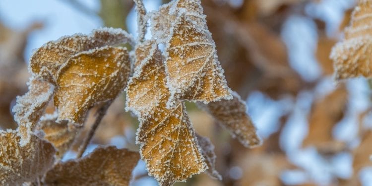 To koniec ciepłych dni? Przed nami pierwszy atak zimy
