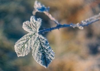 Przed nami naprawdę mroźny koniec listopada