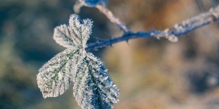 Przed nami naprawdę mroźny koniec listopada