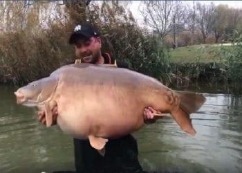Złowił największego karpia w historii. Padł rekord świata [WIDEO]
