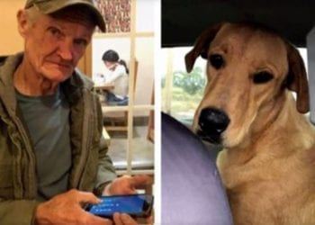 USA. Pies postrzelił właściciela z broni palnej. „Zsunął się z siedzenia i złapał za spust”