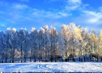 Pogoda na dziś. 19 listopada, gdzie spadnie śnieg?