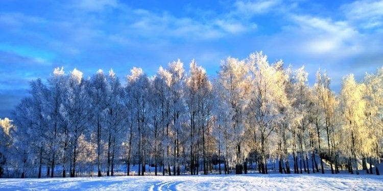 Pogoda na dziś. 19 listopada, gdzie spadnie śnieg?