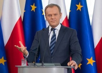 Powrót Donalda Tuska do krajowej polityki? Znamy opinię Polaków