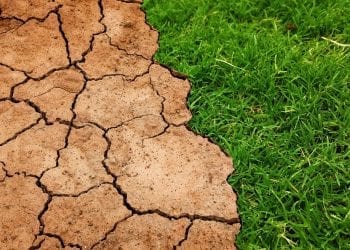 Zmiany klimatu mają bezpośredni wpływ na nasze zdrowie. Ekspert ujawnia szczegóły
