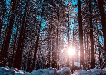 Macie dość mrozów? Przed nami znaczne ocieplenie