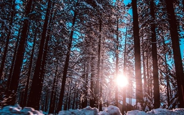 Macie dość mrozów? Przed nami znaczne ocieplenie