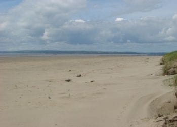 Irlandia. Sprzątał plażę i znalazł zwłoki noworodka