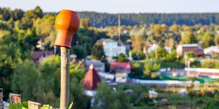 Poznaliśmy Młodzieżowe Słowo roku 2018