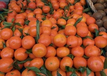 Narkotyki w mandarynkach. Były warte miliony