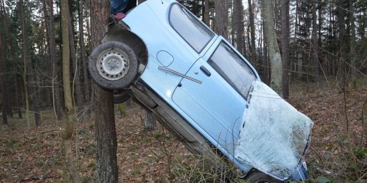 Fiat kierowany przez 86-latkę zawisł na drzewie [FOTO]