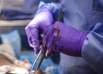 Kraków: Znany chirurg zatrzymany! Ukrywał się