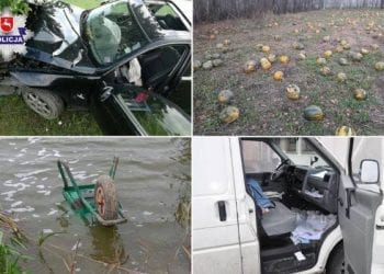 Oto najbardziej kuriozalne interwencje w 2018 roku. Policja opublikowała zestawienie