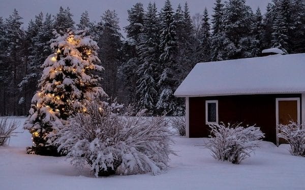 Będzie śnieg na święta? Mamy pierwszą szczegółową prognozę