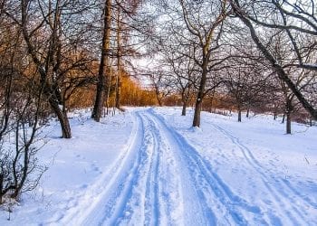 Ostatni weekend przed Świętami. Jaka będzie pogoda?