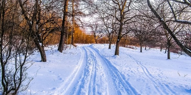 Ostatni weekend przed Świętami. Jaka będzie pogoda?
