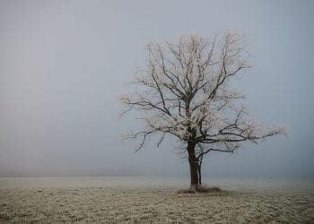 Pogoda w Sylwestra nie zachwyci. Nadciąga Yvette