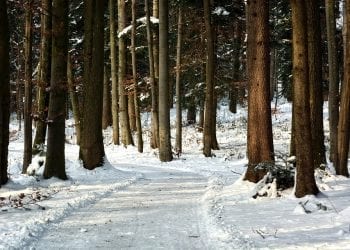 Beskid Śląski: Ślady bosych stóp na śniegu. Akcja poszukiwawcza GOPR